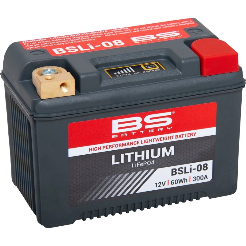 Batterie Lithium LiFePO4