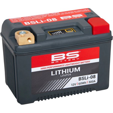 Lithium LiFePO4 Battery