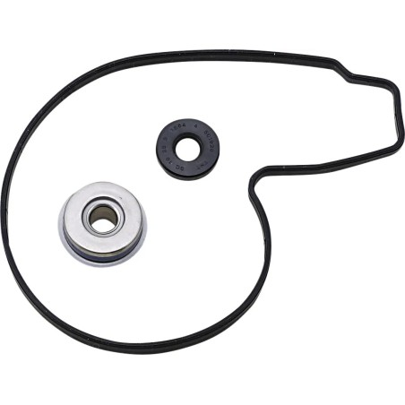 Water Pump Repair Kit