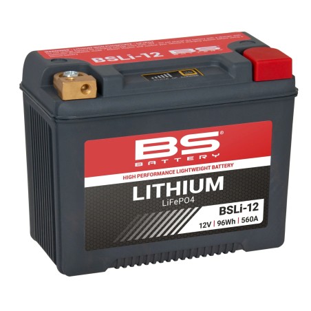 Lithium LiFePO4 Battery