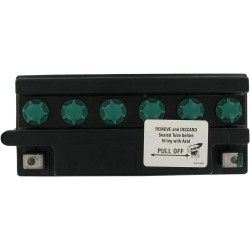 Conventional Battery