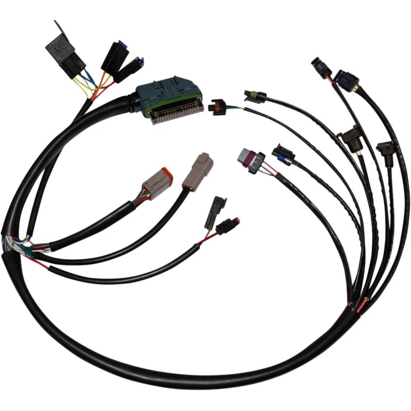 Complete EFI Wiring Harness
