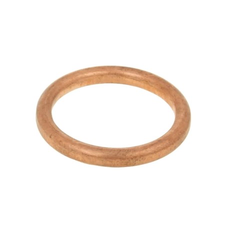 Exhaust Gasket