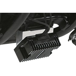 Custom Regulator Mount