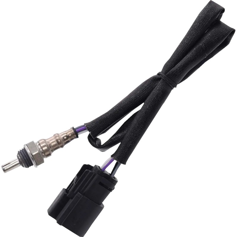 Oxygen Sensor