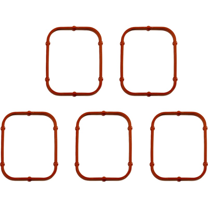 Rocker Gasket