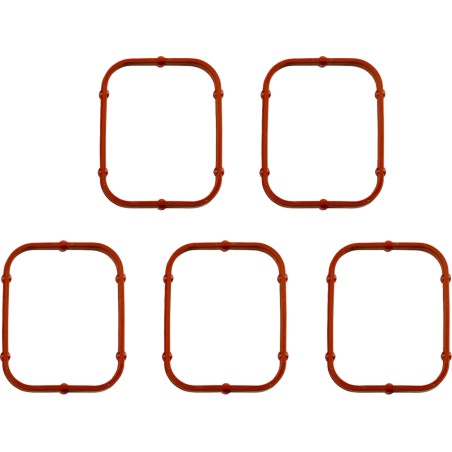 Rocker Gasket