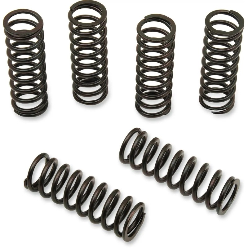 Clutch Spring Kit
