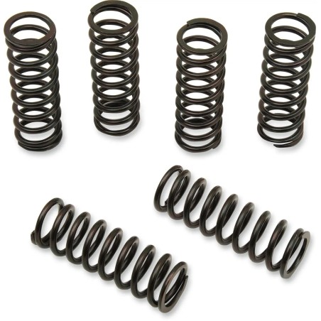 Clutch Spring Kit