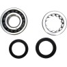 Crankshaft Bearing and Seal Kit