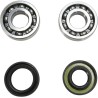 Crankshaft Bearing and Seal Kit