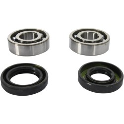Crankshaft Bearing and Seal Kit