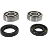Crankshaft Bearing and Seal Kit