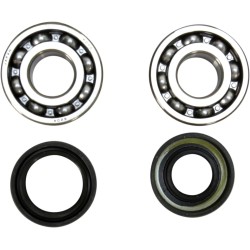 Crankshaft Bearing and Seal Kit