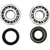 Crankshaft Bearing and Seal Kit