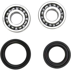 Crankshaft Bearing and Seal Kit