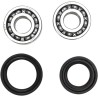 Crankshaft Bearing and Seal Kit