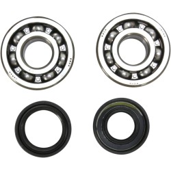Crankshaft Bearing and Seal Kit