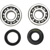 Crankshaft Bearing and Seal Kit