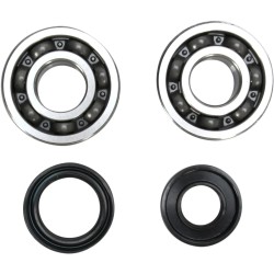 Crankshaft Bearing and Seal Kit