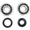Crankshaft Bearing and Seal Kit