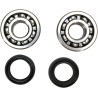 Crankshaft Bearing and Seal Kit