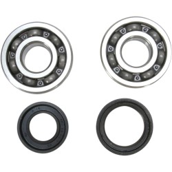 Crankshaft Bearing and Seal Kit