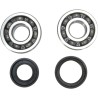 Crankshaft Bearing and Seal Kit