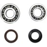 Crankshaft Bearing and Seal Kit