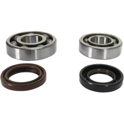 Crankshaft Bearing and Seal Kit