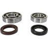 Crankshaft Bearing and Seal Kit