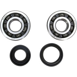 Crankshaft Bearing and Seal Kit