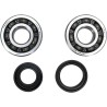 Crankshaft Bearing and Seal Kit