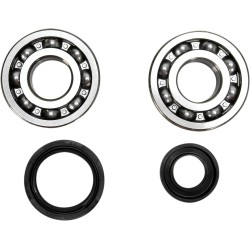 Crankshaft Bearing and Seal Kit