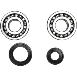 Crankshaft Bearing and Seal Kit