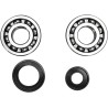 Crankshaft Bearing and Seal Kit