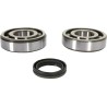 Crankshaft Bearing and Seal Kit