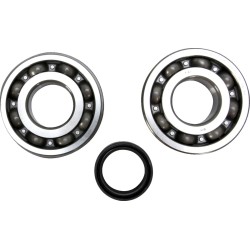 Crankshaft Bearing and Seal Kit