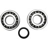 Crankshaft Bearing and Seal Kit