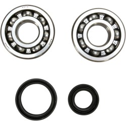 Crankshaft Bearing and Seal Kit