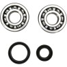 Crankshaft Bearing and Seal Kit