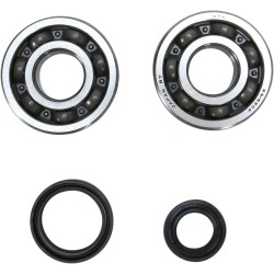 Crankshaft Bearing and Seal Kit