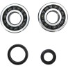 Crankshaft Bearing and Seal Kit