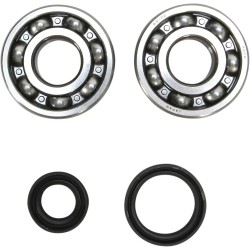 Crankshaft Bearing and Seal Kit