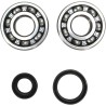 Crankshaft Bearing and Seal Kit