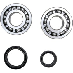 Crankshaft Bearing and Seal Kit