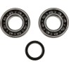 Crankshaft Bearing and Seal Kit