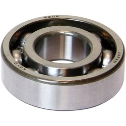 Main Bearing (Individual)
