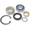 Chain Case Bearing and Seal Kit