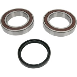 Chain Case Bearing and Seal Kit